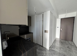 One Bernam (D2), Apartment #499851551